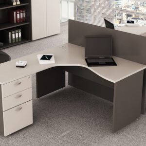 Puestos de Trabajos Ergonómicos